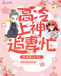 高冷上神追妻忙