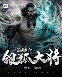 海贼之银狐大将
