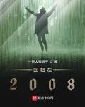 回档在2008