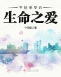 不能承受的生命之爱