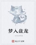 梦入盘龙