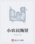 小农民甄贤