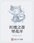红楼之蔷里花开