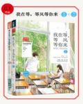 我在等，等风等你来（全2册）