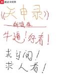天申录