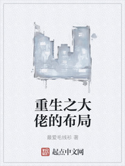 重生之大佬的布局