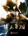 锦衣枭雄