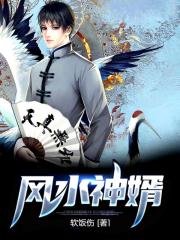 风水神婿