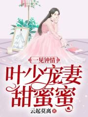 一见钟情：叶少宠妻甜蜜蜜
