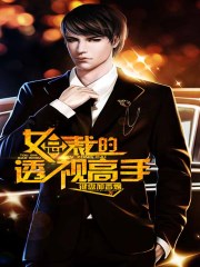女总裁的透视高手