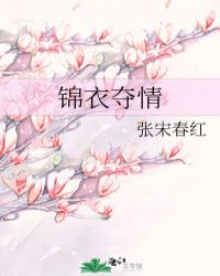 锦衣夺情