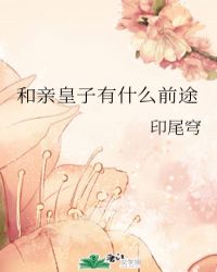 和亲皇子有什么前途