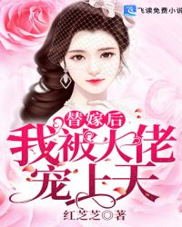 替嫁后我被大佬宠上天