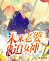 未来老婆帮我追女神