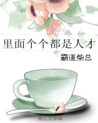 里面个个都是人才