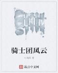 骑士团风云