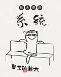 给大佬递系统