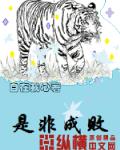 是非成败