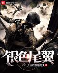 银色尾翼