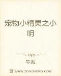 宠物小精灵之小明