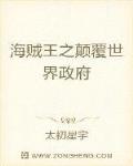 海贼王之颠覆世界政府