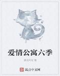 爱情公寓六季