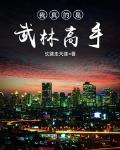 从武林高手到娱乐巨星
