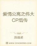 爱情公寓之伟大CP后传