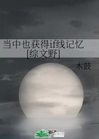 当中也获得if线记忆[综文野]