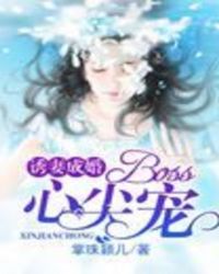 诱妻成婚：Boss心尖宠
