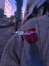 等你的路口