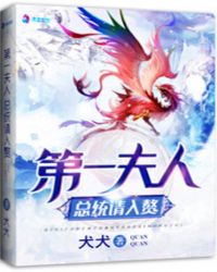 第一夫人：总统请入赘