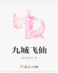 九城飞仙