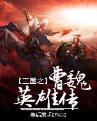 三国之曹魏英雄传