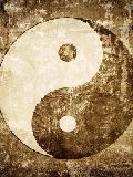 阴阳录