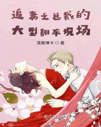 追妻之总裁的大型翻车现场