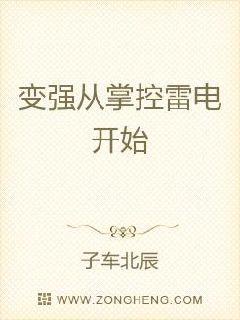 变强从掌控雷电开始