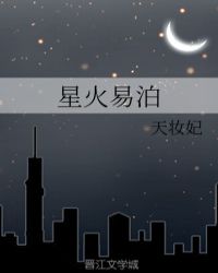 星火易泊