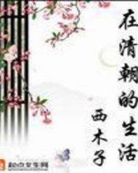 在清朝的生活 第三册