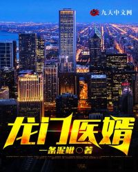 龙门医婿