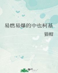 易燃易爆的中也柯基