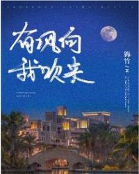 有风向我吹来