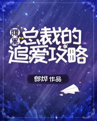 腹黑总裁的追爱攻略