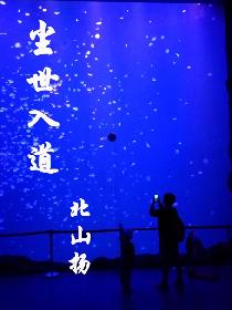 尘世入道