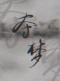 夺梦