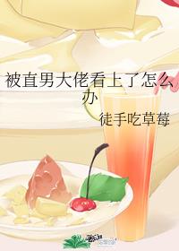 被直男大佬看上了怎么办
