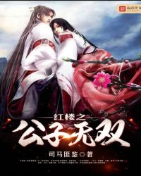 红楼之公子无双