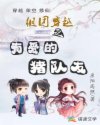 组团穿越之有爱的猪队友
