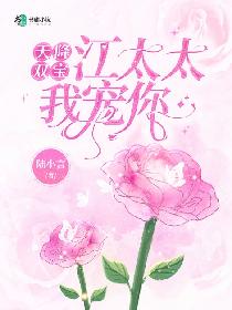 天降双宝：江太太我宠你