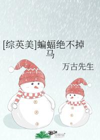 [综英美]蝙蝠绝不掉马